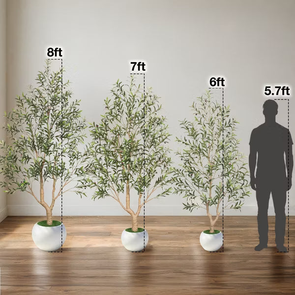 Romswi 6FT Artificial Olive Tree with White Round Planter, Faux Olive Trees with Natural Wood Trunk and Realistic Leaves Fruits, Indoor Decor Home